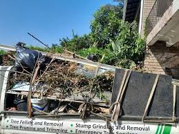 Shed Removal in Glassmanor, MD